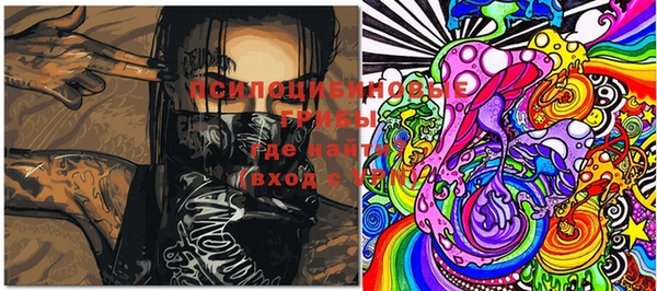 apvp Нея