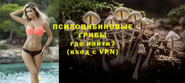 2c-b Надым