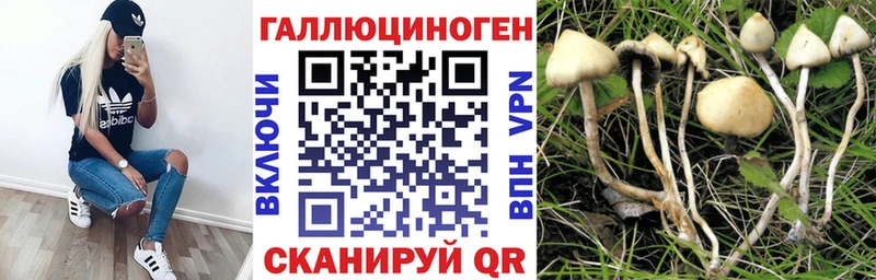 наркота  Ртищево  Псилоцибиновые грибы Psilocybine cubensis 