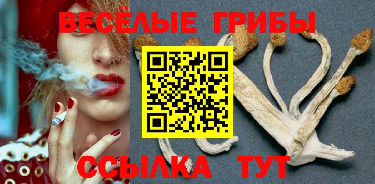 Галлюциногенные грибы Psilocybine cubensis Ртищево