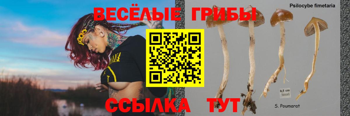 Псилоцибиновые грибы Psilocybine cubensis  Вход с VPN  Псилоцибиновые грибы Cubensis  Ртищево 